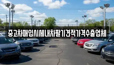서울특별시 동대문구 전농동 중고차매입 전문 중고차매입시세내차팔기견적가격수출업체