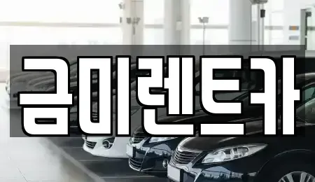 서울특별시 마포구 구수동 렌트카 전문 금미렌트카