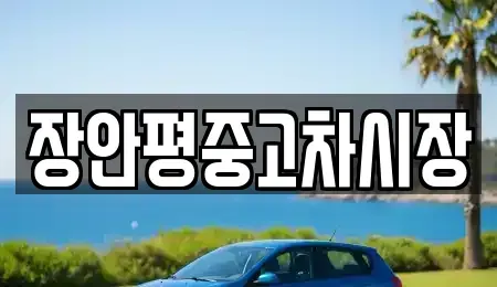 서울특별시 서대문구 북아현동 중고차매매 전문 장안평중고차시장