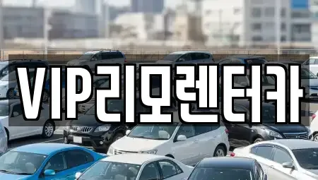 서울특별시 성동구 금호동4가 단기렌트카 전문 VIP리모렌터카