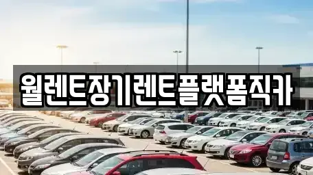 서울특별시 성동구 금호동4가 장기렌트카 전문 월렌트장기렌트플랫폼직카