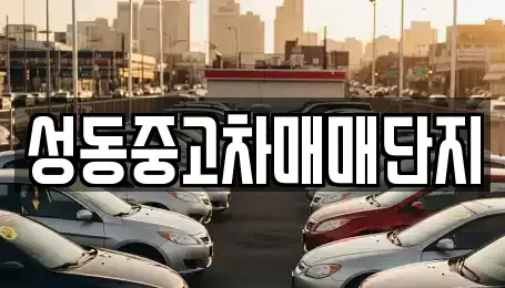 서울특별시 성동구 금호동4가 중고차 전문 성동중고차매매단지