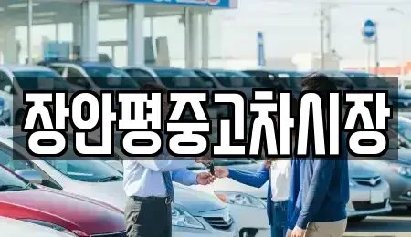 서울특별시 성동구 금호동4가 중고차 전문 장안평중고차시장