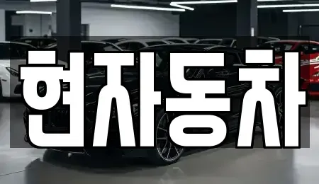 서울특별시 성동구 금호동4가 중고차 전문 현자동차