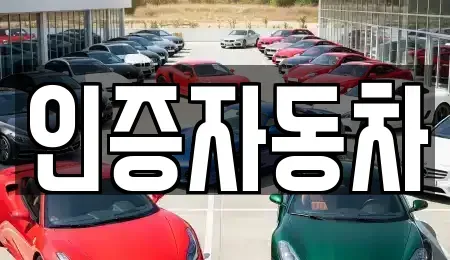 서울특별시 성동구 금호동4가 중고차매매 전문 인증자동차