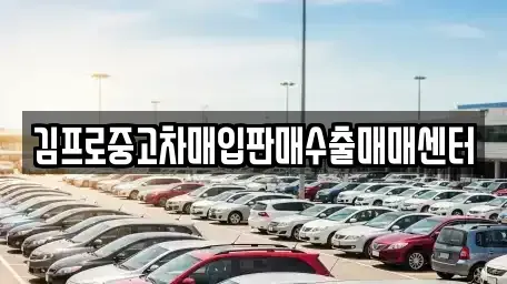 서울특별시 성동구 금호동4가 중고차매입 전문 김프로중고차매입판매수출매매센터