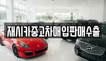 서울특별시 성동구 금호동4가 중고차매입 전문 재시카중고차매입판매수출