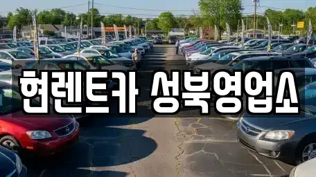 서울특별시 성북구 보문동5가 렌트카 전문 현렌트카 성북영업소