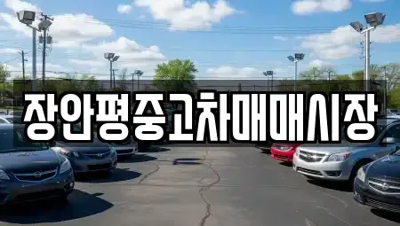 서울특별시 성북구 보문동5가 중고차매매 전문 장안평중고차매매시장