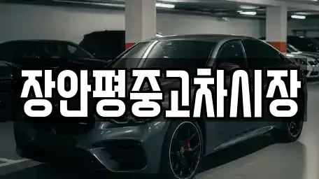 서울특별시 성북구 보문동5가 중고차매매 전문 장안평중고차시장