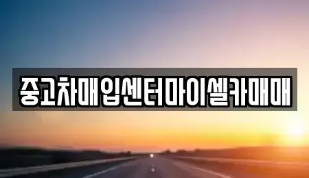 서울특별시 성북구 보문동5가 중고차매입 전문 중고차매입센터마이셀카매매
