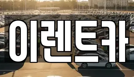 서울특별시 성북구 안암동1가 렌트카 전문 이렌트카