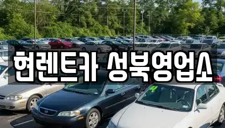 서울특별시 성북구 안암동1가 렌트카 전문 현렌트카 성북영업소