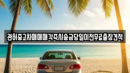 서울특별시 성북구 안암동1가 중고차 전문 관허중고차매매매각즉시송금당일이전무료출장견적