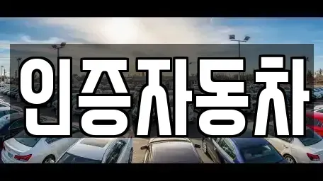 서울특별시 성북구 안암동1가 중고차 전문 인증자동차