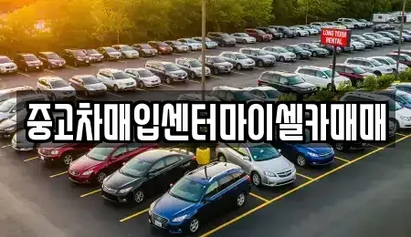 서울특별시 성북구 안암동1가 중고차매입 전문 중고차매입센터마이셀카매매