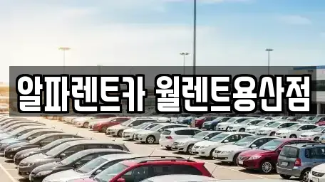 서울특별시 용산구 렌트카 전문 알파렌트카 월렌트용산점