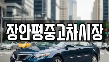 서울특별시 은평구 증산동 중고차 전문 장안평중고차시장
