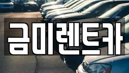 서울특별시 종로구 누상동 렌트카 전문 금미렌트카