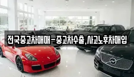 서울특별시 종로구 누상동 중고차 전문 전국중고차매매-중고차수출,사고노후차매입