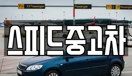 서울특별시 종로구 누상동 중고차매매 전문 스피드중고차