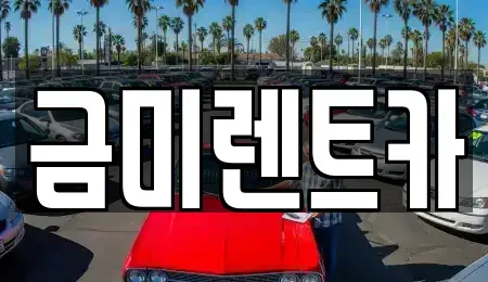 서울특별시 종로구 명륜4가 렌트카 전문 금미렌트카