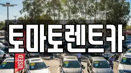 서울특별시 종로구 명륜4가 렌트카 전문 토마토렌트카