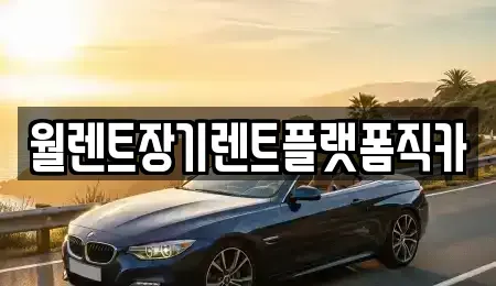 서울특별시 종로구 명륜4가 장기렌트카 전문 월렌트장기렌트플랫폼직카