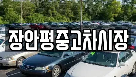 서울특별시 종로구 명륜4가 중고차매매,단기렌트카,중고차매입,장기렌트카,중고차,렌트카