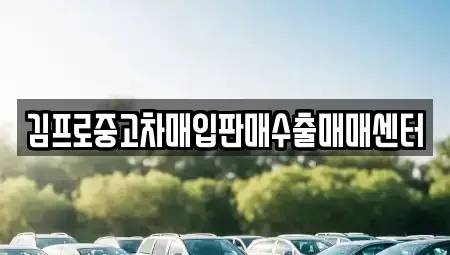 서울특별시 종로구 명륜4가 중고차매입 전문 김프로중고차매입판매수출매매센터