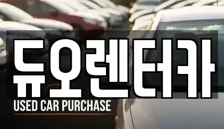서울특별시 중구 충무로2가 렌트카 전문 듀오렌터카