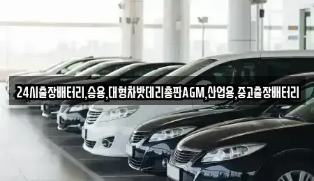 서울특별시 중구 충무로2가 중고차 전문 24시출장배터리,승용,대형차밧데리총판AGM,산업용,중고출장배터리