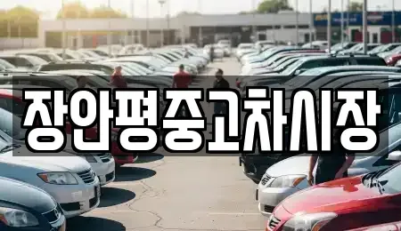 서울특별시 중구 충무로2가 중고차 전문 장안평중고차시장