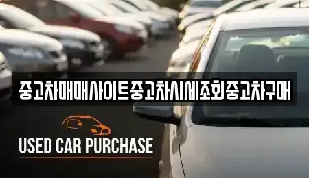 서울특별시 중구 충무로2가 중고차 전문 중고차매매사이트중고차시세조회중고차구매