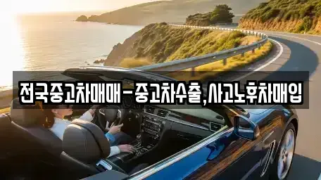 서울특별시 중구 충무로2가 중고차매입 전문 전국중고차매매-중고차수출,사고노후차매입