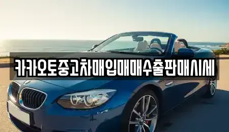 서울특별시 중구 충무로2가 중고차매입 전문 카카오토중고차매입매매수출판매시세