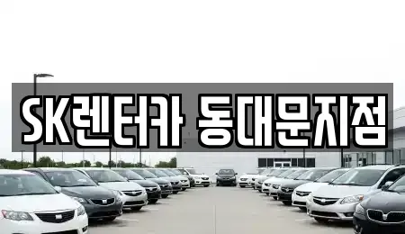 서울특별시 중구 흥인동 렌트카 전문 SK렌터카 동대문지점