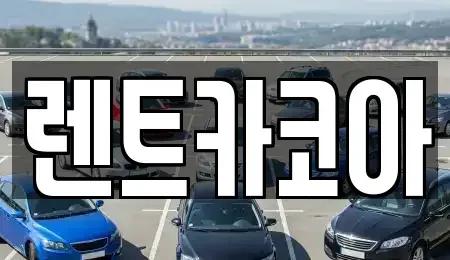 서울특별시 중구 흥인동 렌트카 전문 렌트카코아