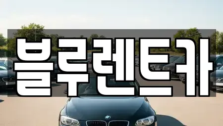 서울특별시 중구 흥인동 렌트카 전문 블루렌트카