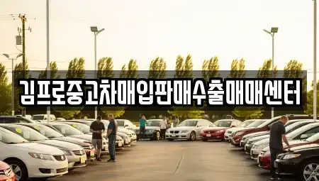 서울특별시 중구 흥인동 중고차 전문 김프로중고차매입판매수출매매센터