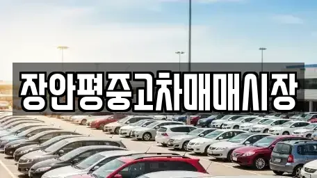 서울특별시 중구 흥인동 중고차 전문 장안평중고차매매시장