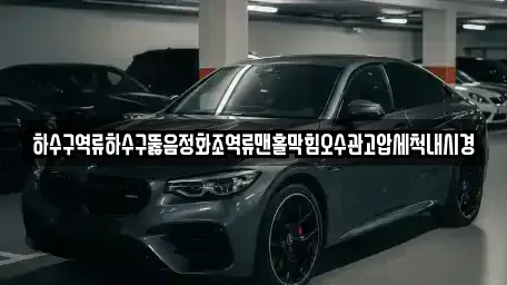 서울특별시 중구 흥인동 중고차 전문 하수구역류하수구뚫음정화조역류맨홀막힘오수관고압세척내시경