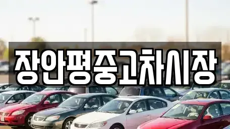 서울특별시 중구 흥인동 중고차매매 전문 장안평중고차시장
