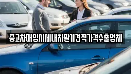 서울특별시 중구 흥인동 중고차매입 전문 중고차매입시세내차팔기견적가격수출업체