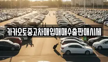 서울특별시 중구 흥인동 중고차매입 전문 카카오토중고차매입매매수출판매시세
