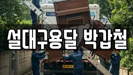 설대구용달 박갑철