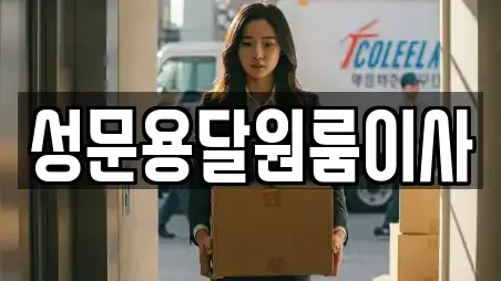 성문용달원룸이사
