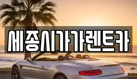 세종 다정동 단기렌트카,중고차매입,중고차매매,중고차,렌트카,장기렌트카