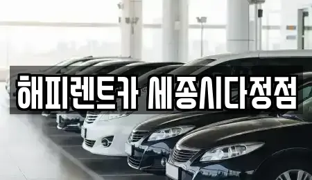 세종 다정동 렌트카 전문 해피렌트카 세종시다정점