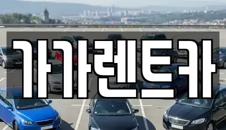 세종 다정동 장기렌트카 전문 가가렌트카